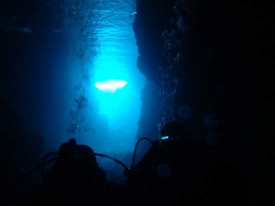 P2200064-550x412