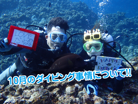 10月の沖縄で体験ダイビングを思い切り楽しもう ラピスマリンスポーツ