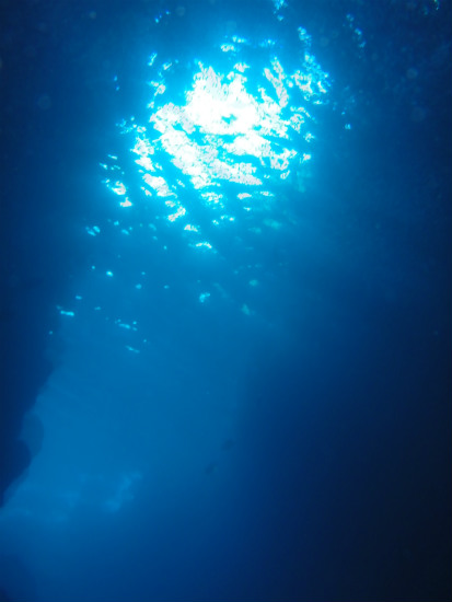 水面からの水中探索 カップルで青の洞窟シュノーケリングツアー ラピスマリンスポーツ