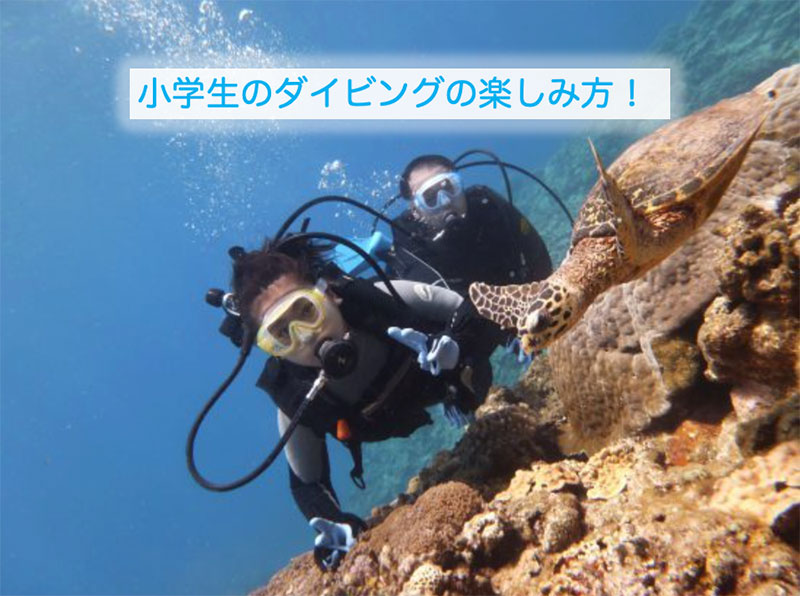 小学生のダイビングの楽しみ方
