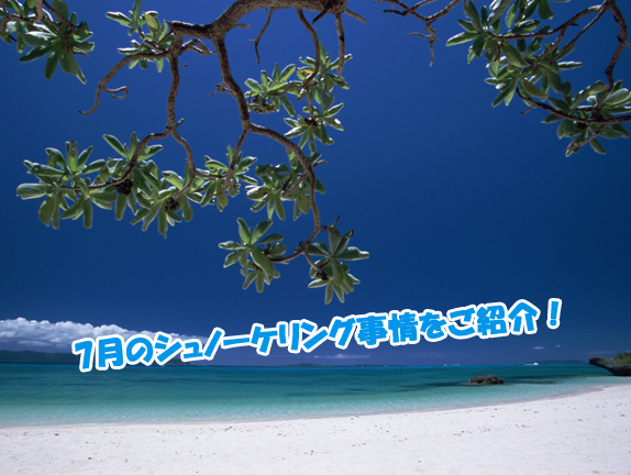 沖縄　砂浜