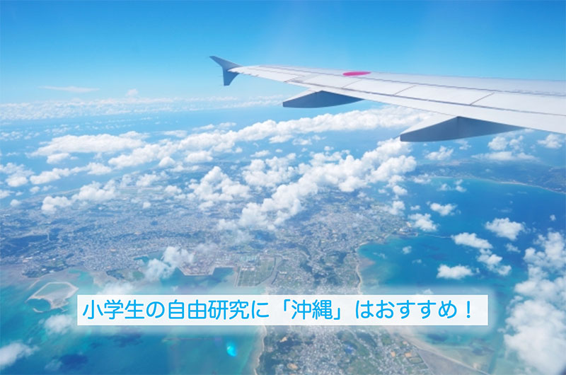 小学生の自由研究「沖縄」はおすすめ！