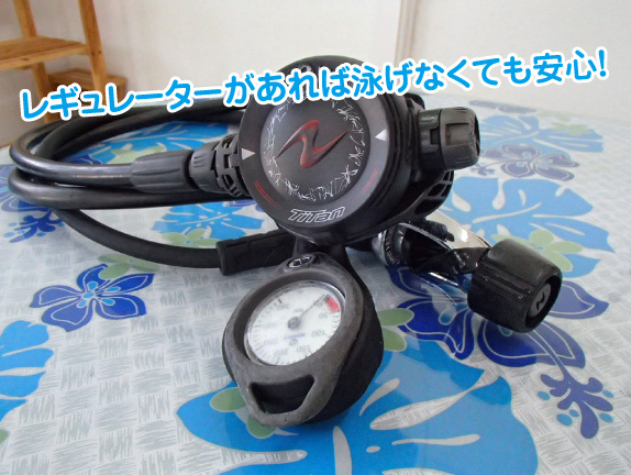 レビュレーターがあれば泳げなくても安心！