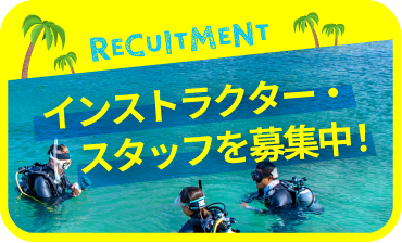 沖縄ダイビングインストラクター
求人募集